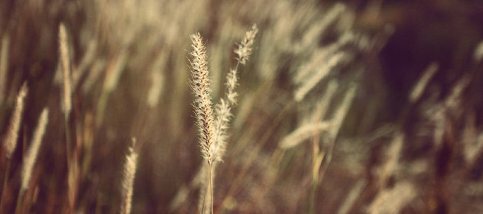 <strong>300��������롰�t�h����־Ը�(du��)��</strong>