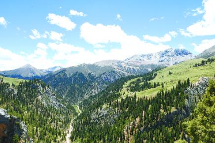 ���t���չ�����B+���Ρ���������