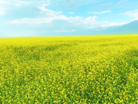 ���D�f�r�����TԴ1.94�f����Ͳ˻�����`��