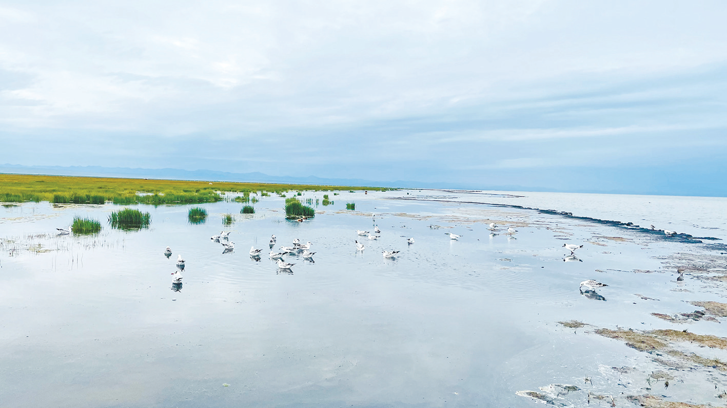 ��ʯ���_�e�Ӽt ����F�Yһ���H����ԭ������箋