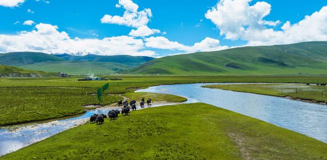 ��ֲ�Gɫ���ຣ�f(w��n)����C����