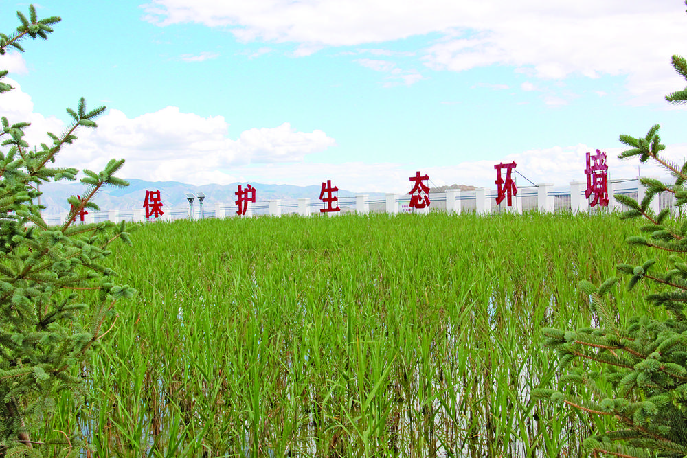 ��ʡ��ߺ���΢������ˮ������������d�� ��ԭС���� ȡ��һƬ