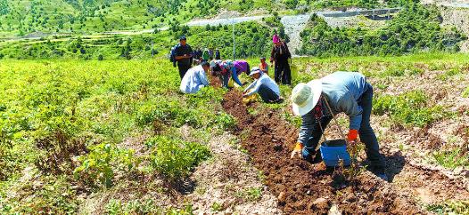 ���l�����d���ຣ���������g�á��S�����������l���� �����d��ϵ�Ј��