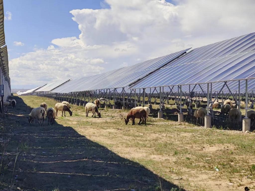 �r���Ї��{���С��S��ƪح�S�����κá��L�⡱�����ຣ�ӿ��坍��Դ�lչҊ