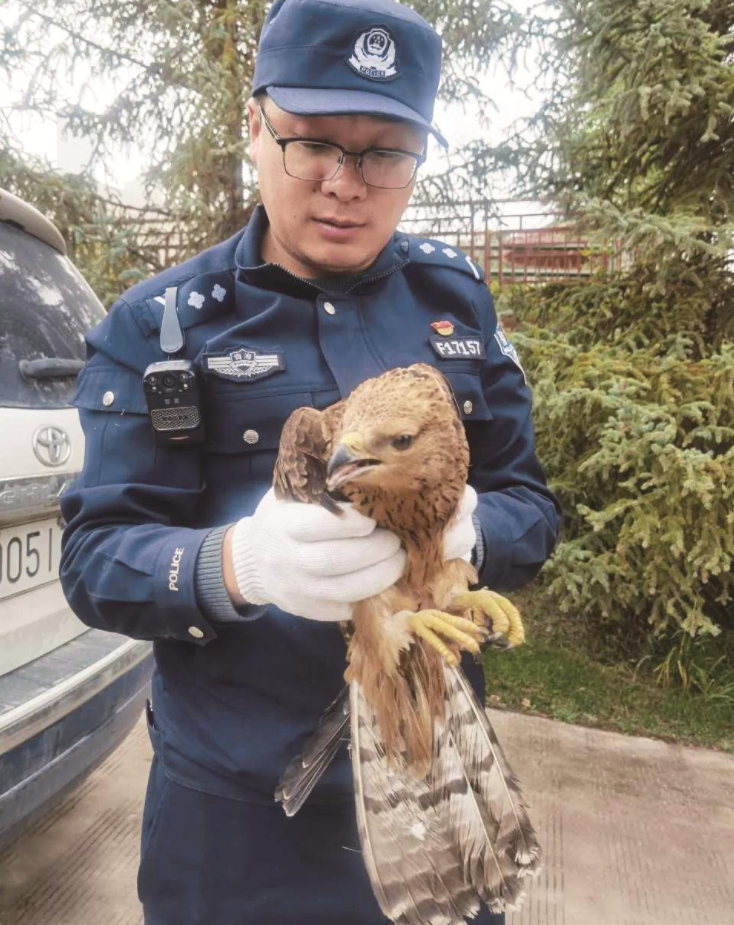 ��Դ��������һֻ�P�^����