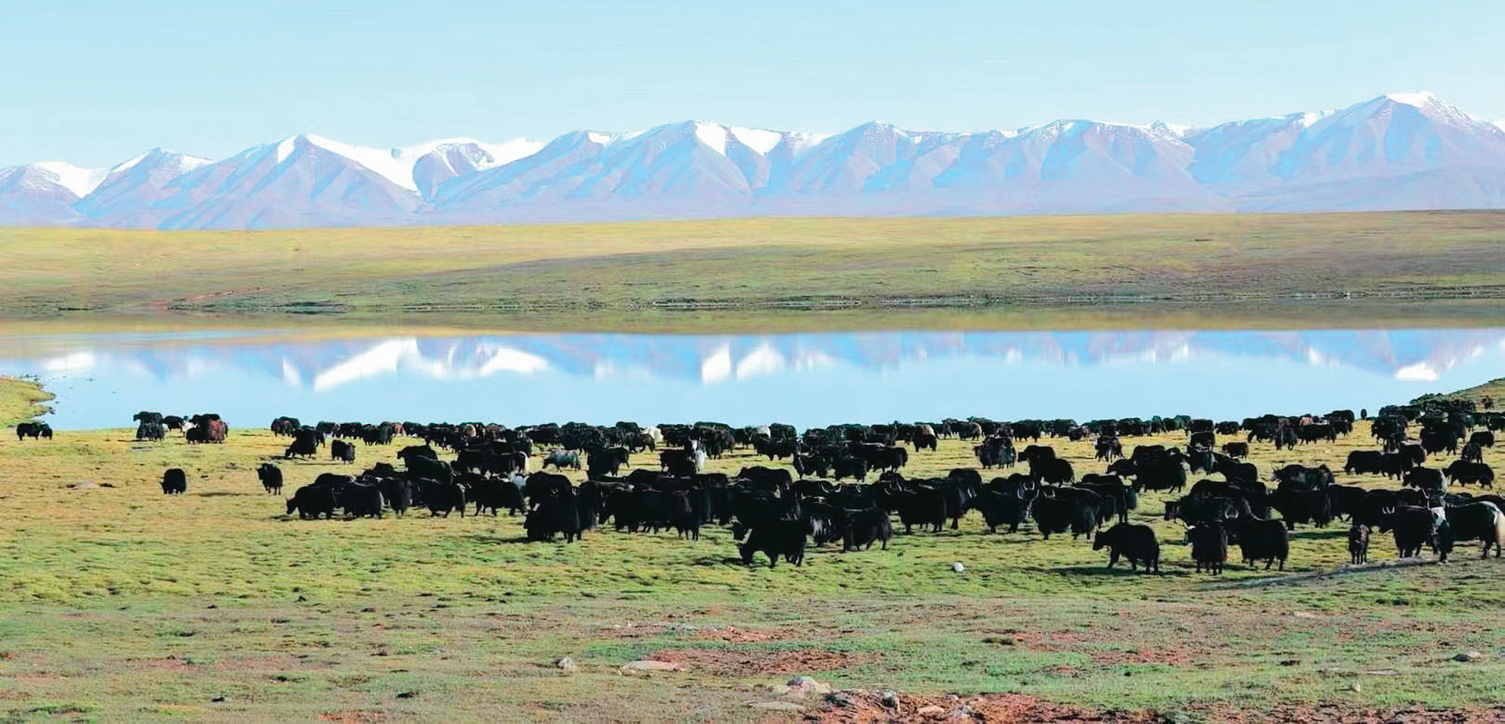 ׌�Gɫ�ɞ���|���lչ���n���ĵ�ɫ