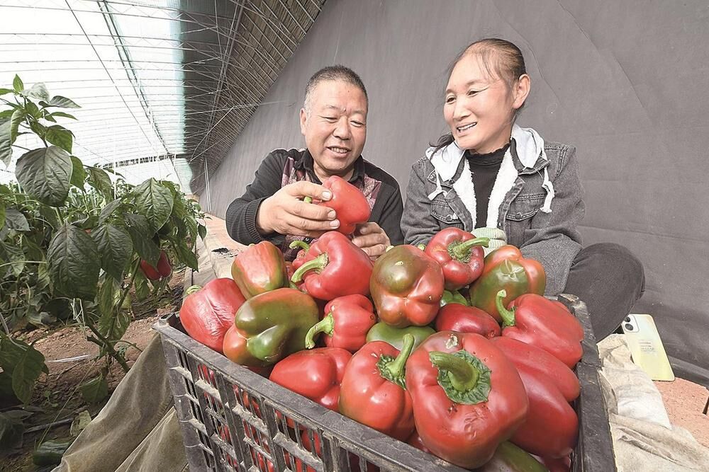 �ຣ�����ʽ����϶��_˹�˲���