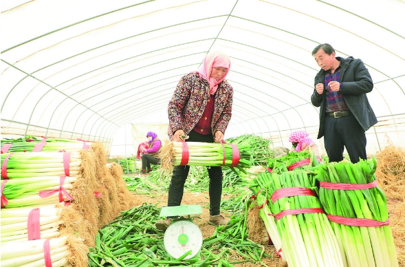 ���r���^�졿�ຣ��ͣ��Ԯa�I�lչ�H�I�����ɡ�����l�����d�^�M��