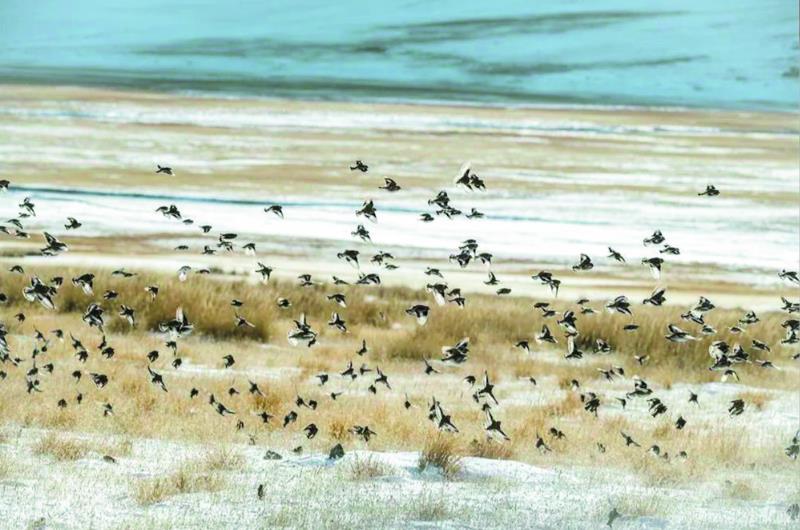 【中央生態環保督察·民聲熱線】生態畫卷美 環保映人心