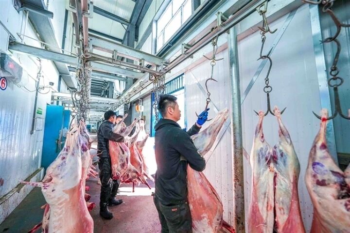 ��얹���չÓؚ���Գɹ�ͬ�l�����d��Ч㕽��M�Еr�����ϡ����R���С���ţ�����N��ȫ��