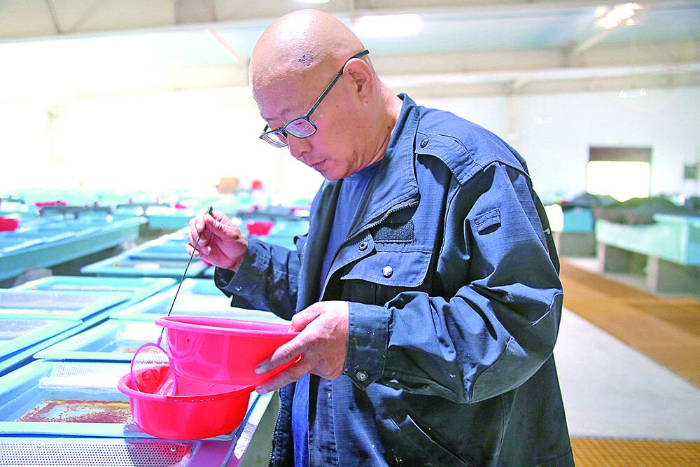 【學思想 強黨性 重實踐 建新功·辦實事 解民憂】拉西瓦鎮:傾力辦實事用心解難題