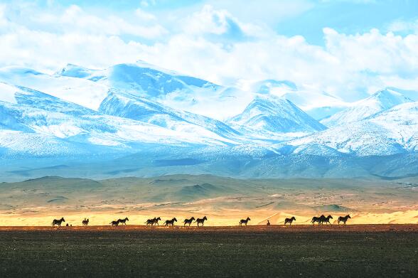 ��ӛ�������ߵش���չ�F������