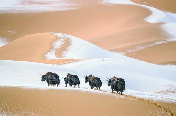 �ຣ���չ���B���������L��