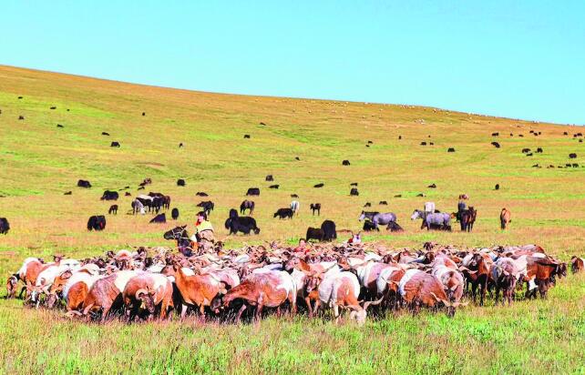 ���´��߻��ӡ��������������´�ӭ�����ù⾰��