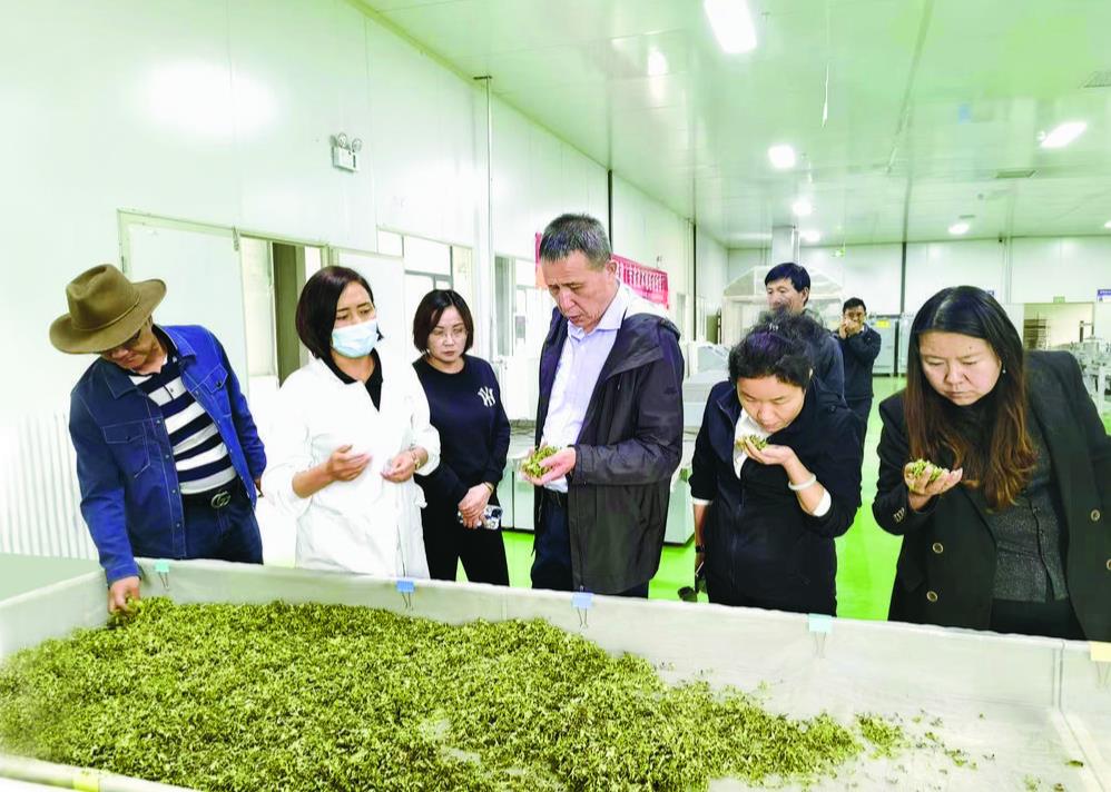 �����������ƶ� �������������Ρ���ʡ�˴�ί������ί�ӿ����������C���ƶȾC��