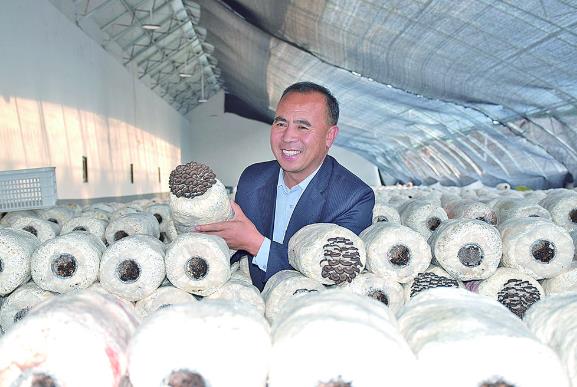 ���l�����d���ຣ�����|��ͣ���؜ϴ��Ģ��ȦԽ��Խ��