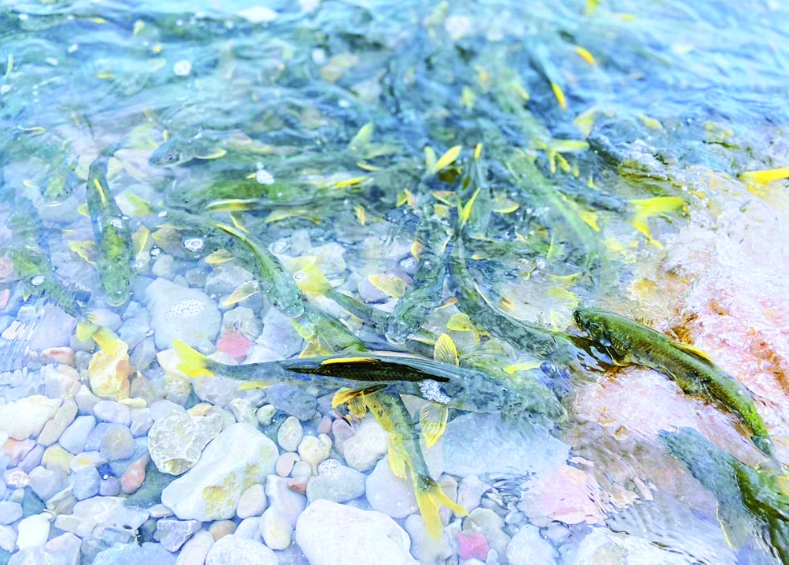 ���r�� ������ ���I(y��)�����|(zh��)���l(f��)չ�{(di��o)���С����o�������جF(xi��n)һ�����C��Ȼ���ຣ��