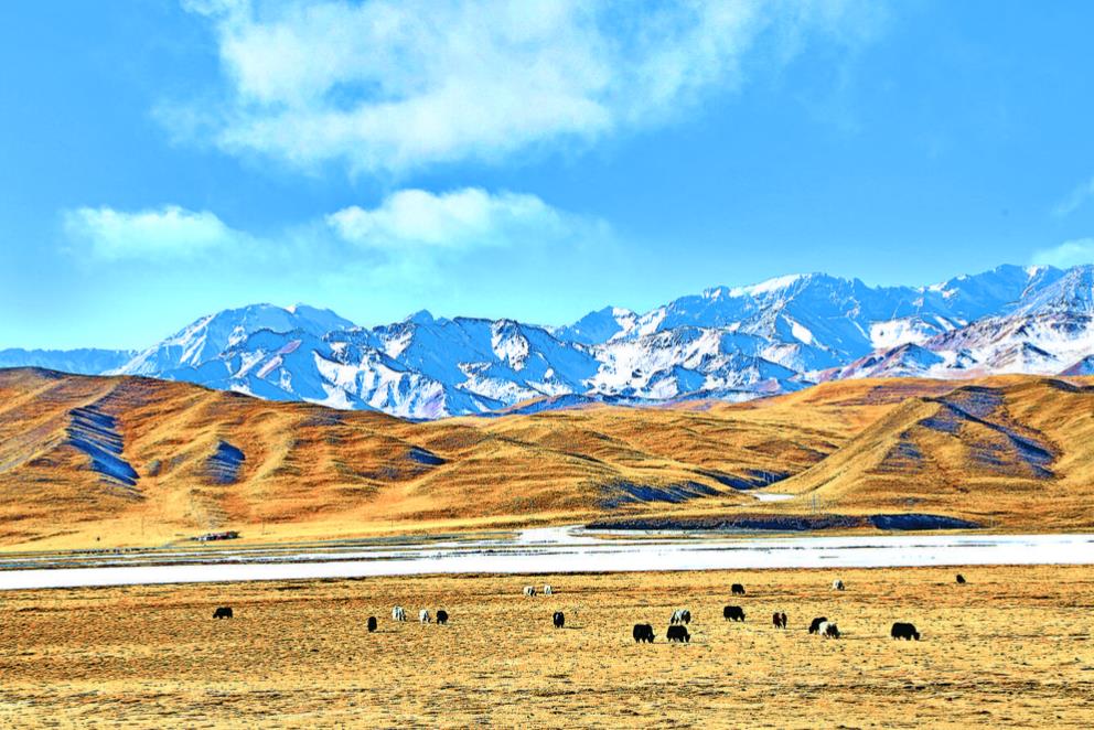 �������F(xi��n)���� ���L�D�����ɕ��ؿ����B�����������o(h��)�����Aˮ���� �������B(t��i)�����¸ߵ�