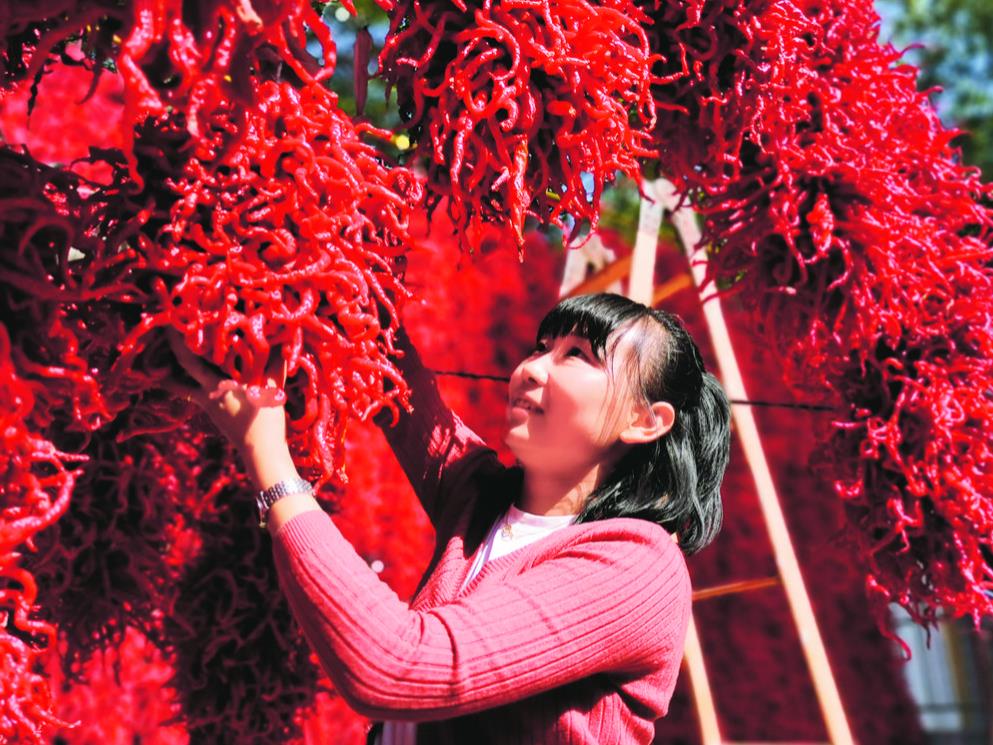 �������F���� ���L�D�����ɕ��ؿ����B�����������ϡ��ຣӡ�� ��ɽԽ���ך���