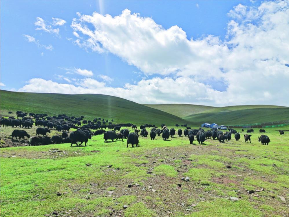 ���h���I(l��ng)�������h��+���L���l(xi��ng)�����d�D��