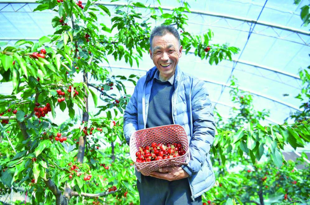 СС�����L(zh��ng)���l(xi��ng)�����d���¸�����