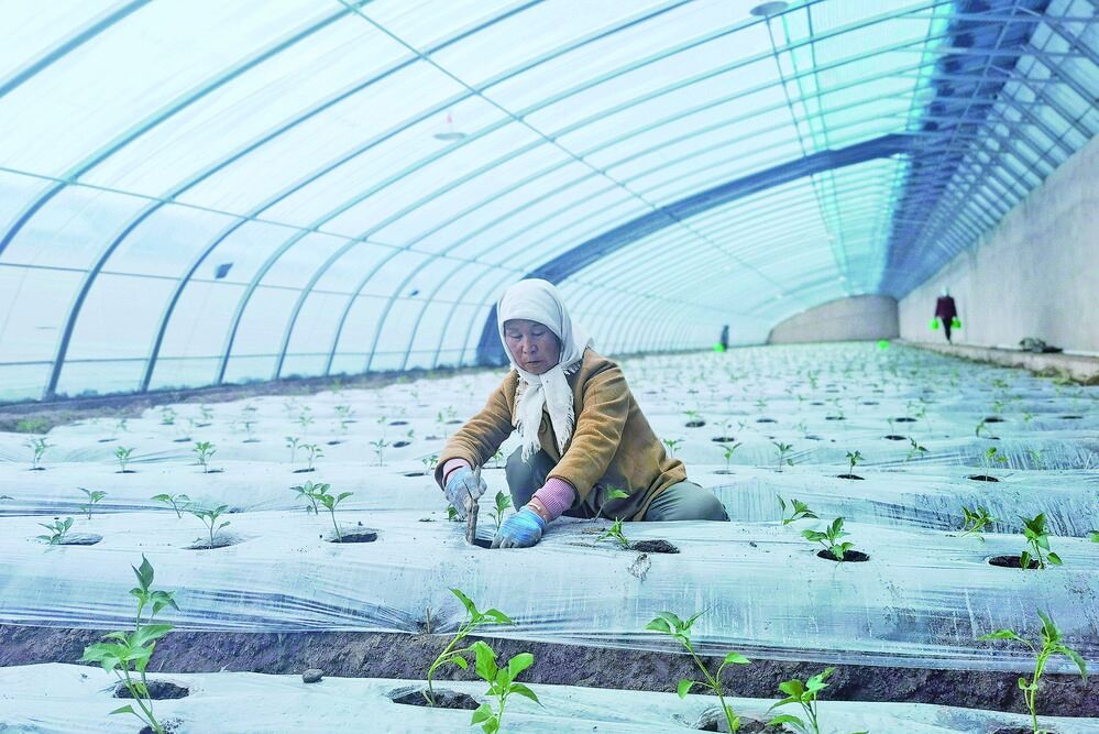 QQ圖片20240320061033