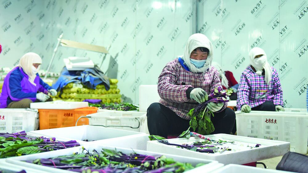 QQ圖片20240320061051