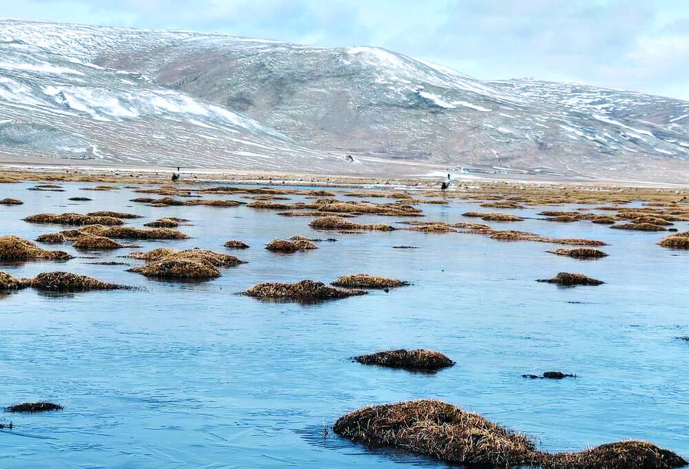 QQ�DƬ20240326060256