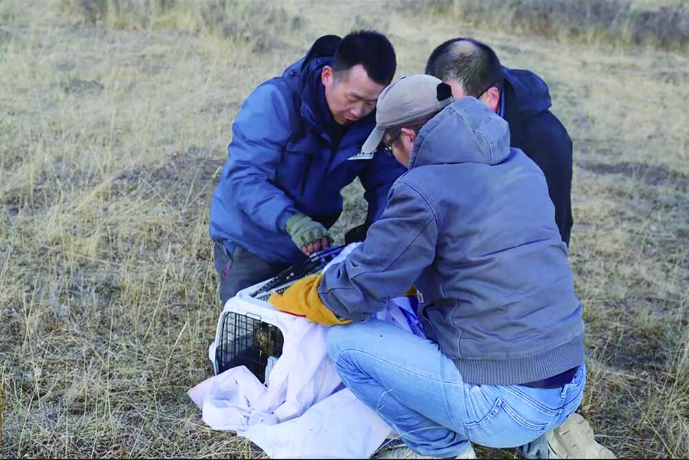 QQ�DƬ20240330063726