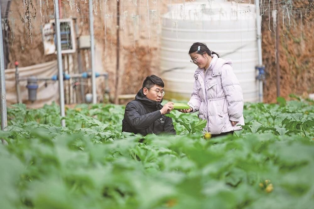 QQ�DƬ20240330064815