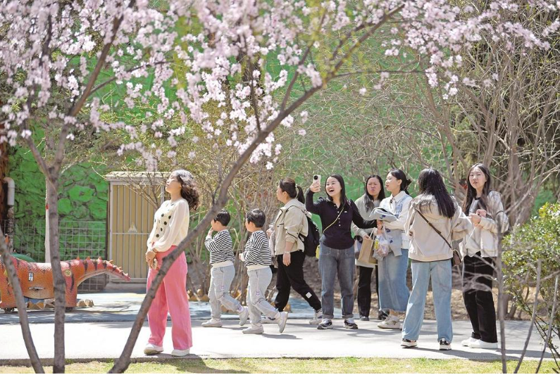 清明假期首日 市民紛紛出門賞花春游