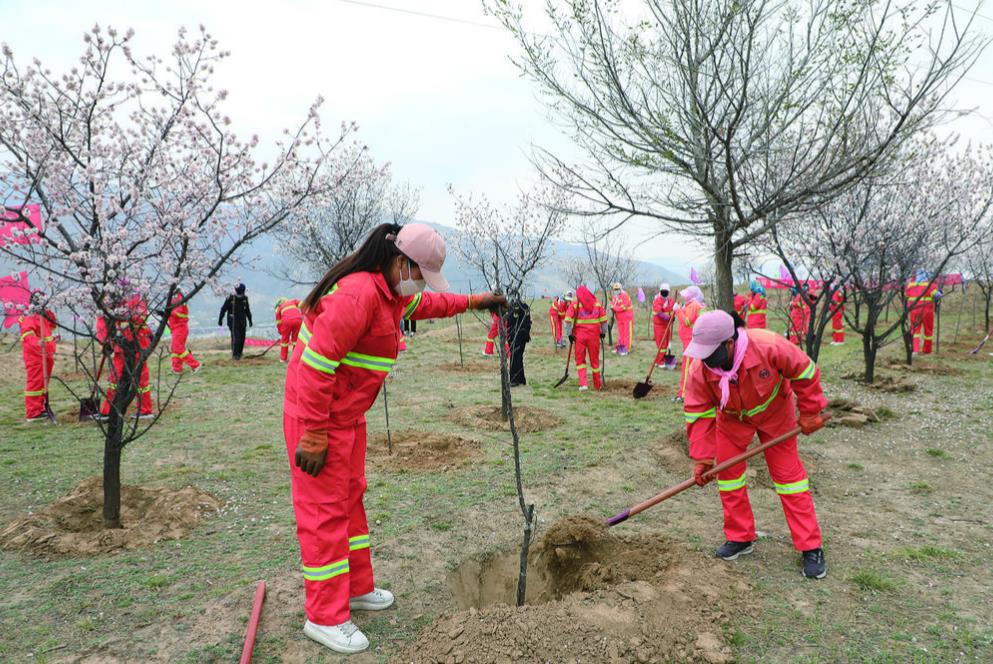 �ຣ��ͣ���65�f����ľ�GȾ����