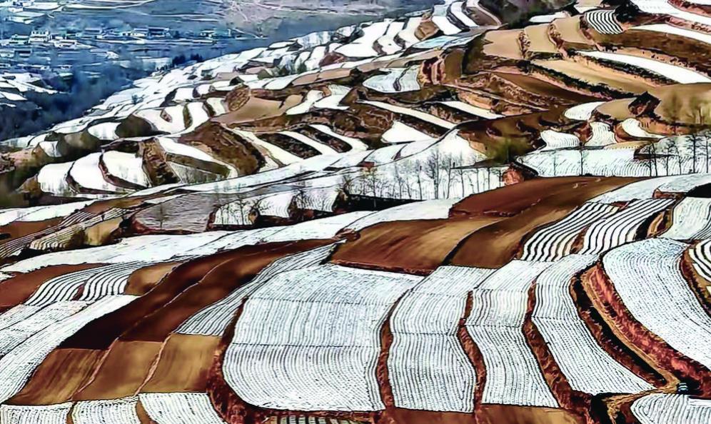 �ຣ��������ѩ���y�硱��������