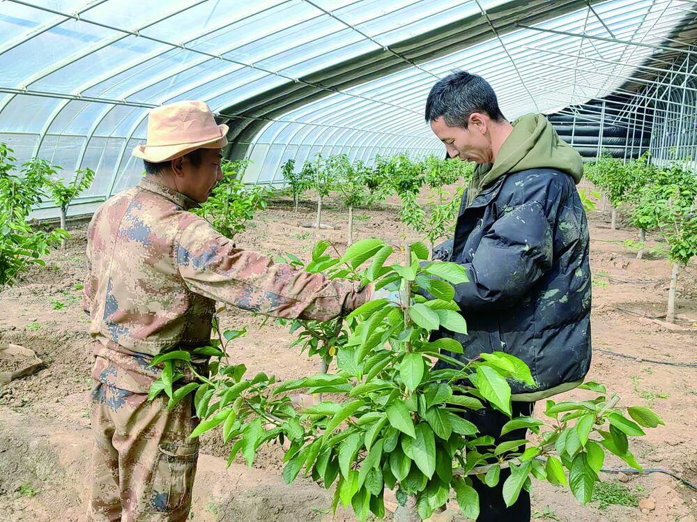 ���l�����d�����������屧�F���lչ �a�I���L����