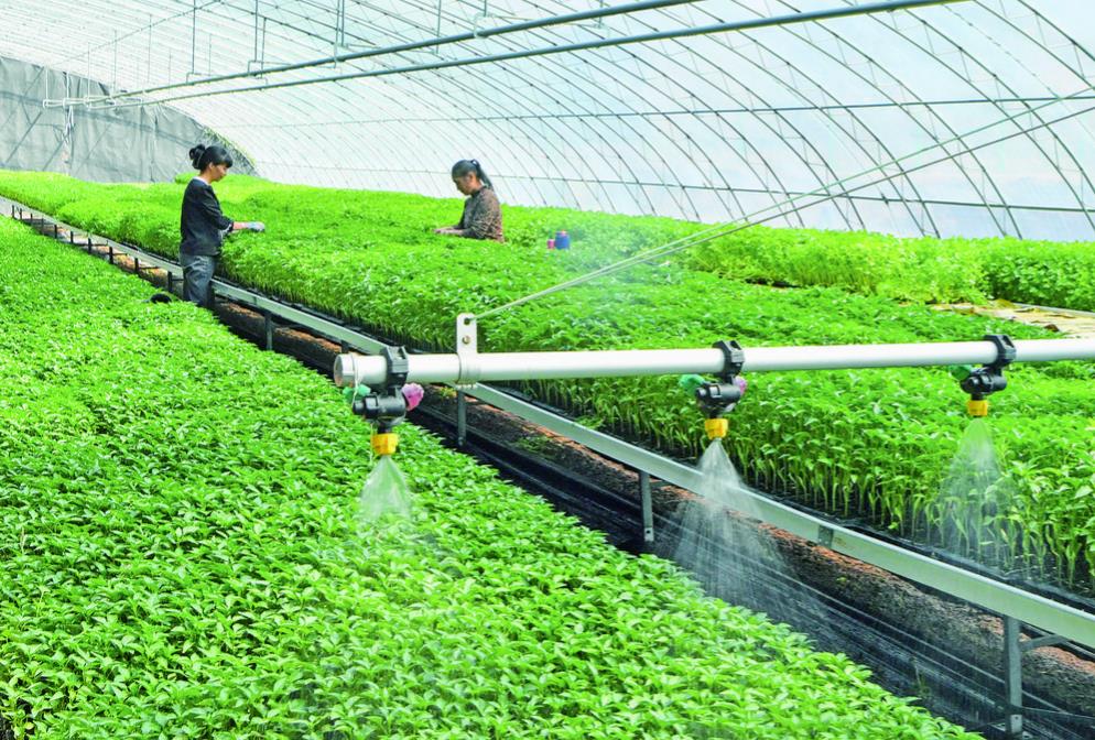 ���Ҵ��ﴺ��� �Ƽ��x�ܴ���æ