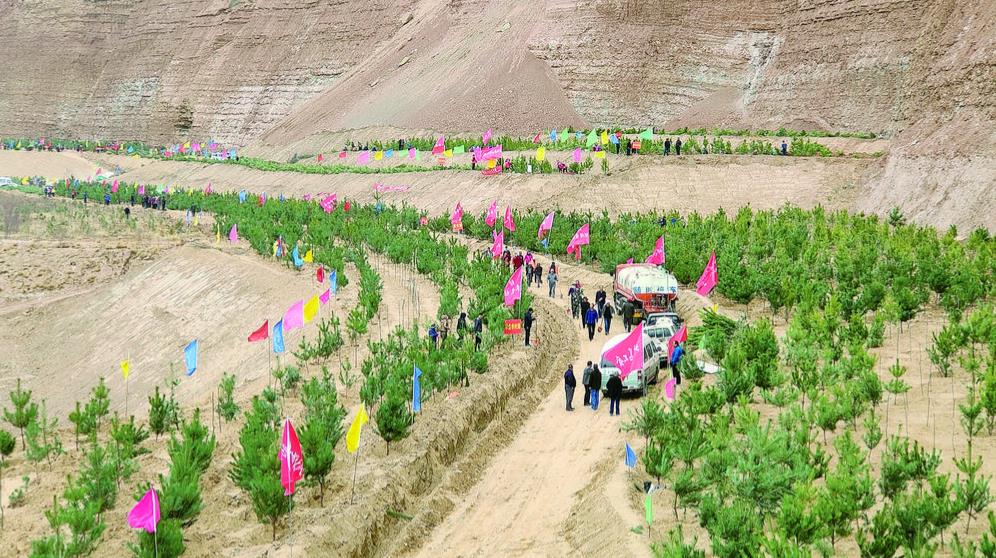 ���r(sh��)�� ������ ���I(y��)��ጷžGɫ���� ���@�Gɫ���� ����2023���ຣʡ�������M(j��n)�����G���C��