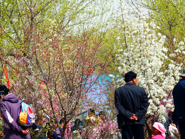 DSCF0744_����