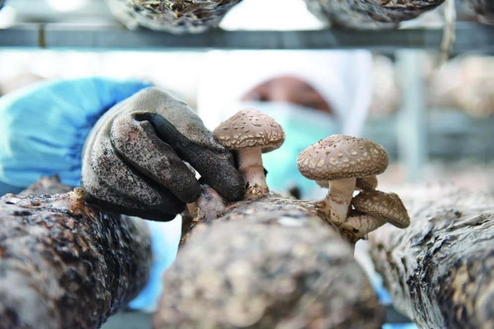 �ຣ��Ξ���I�������|���lչ���{�o�����������P�ڴ��M��I�������|���lչ�����ɴ�ʩ�����c���x