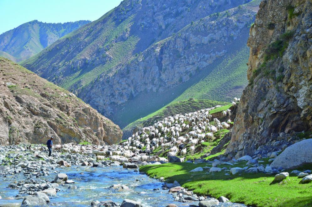 �����򽛡����l��ؔ�� �ຣ����a�I��������������������̖ �ߺ����d·��ϵ�Ј��֮һ