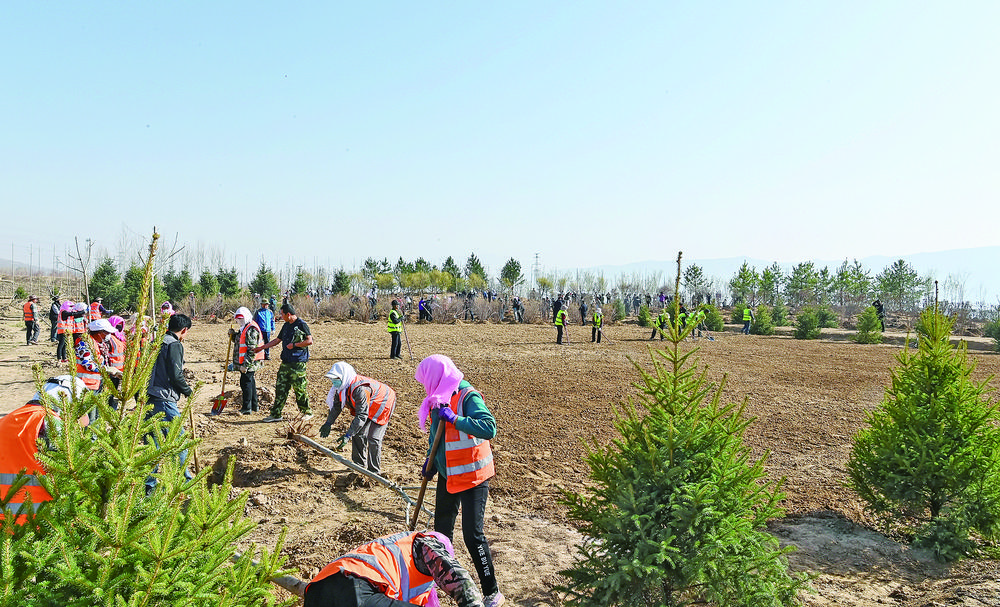 2024年春季義務植樹活動舉行 陳剛吳曉軍參加