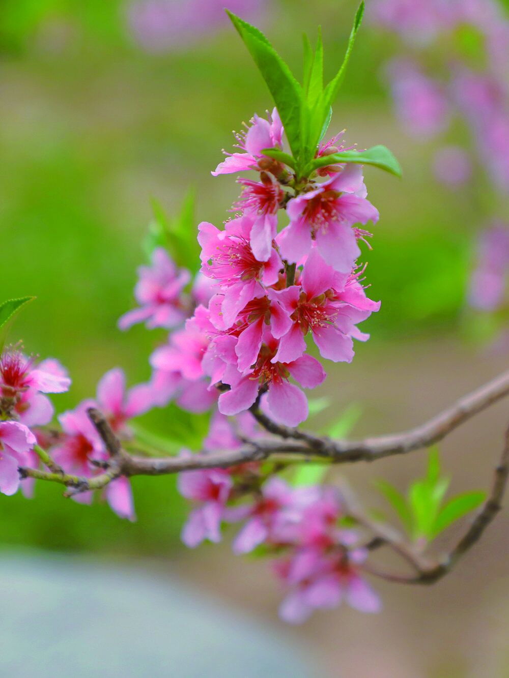 QQ�DƬ20240418060839