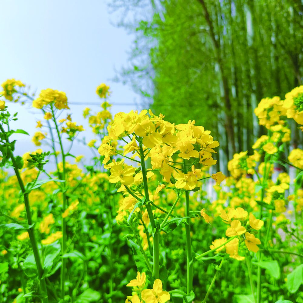 QQ�DƬ20240418060846