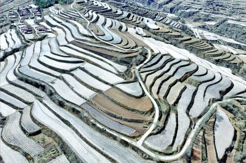 �����ָ�y���@�G���l