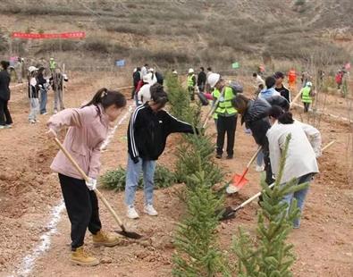 西寧市城中區開展2024年全民義務植樹活動