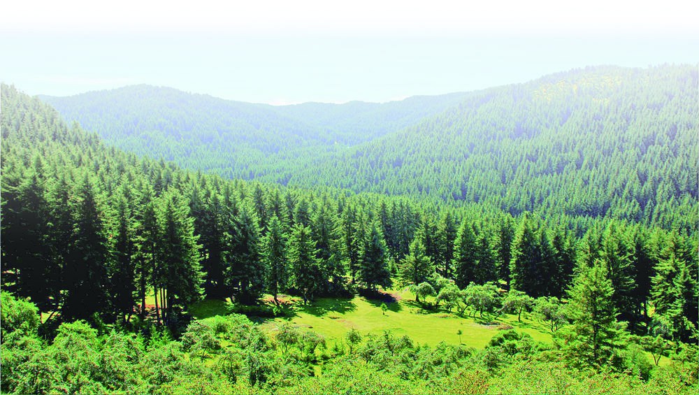 �����B�^�졿���;��� ��ֲ������G