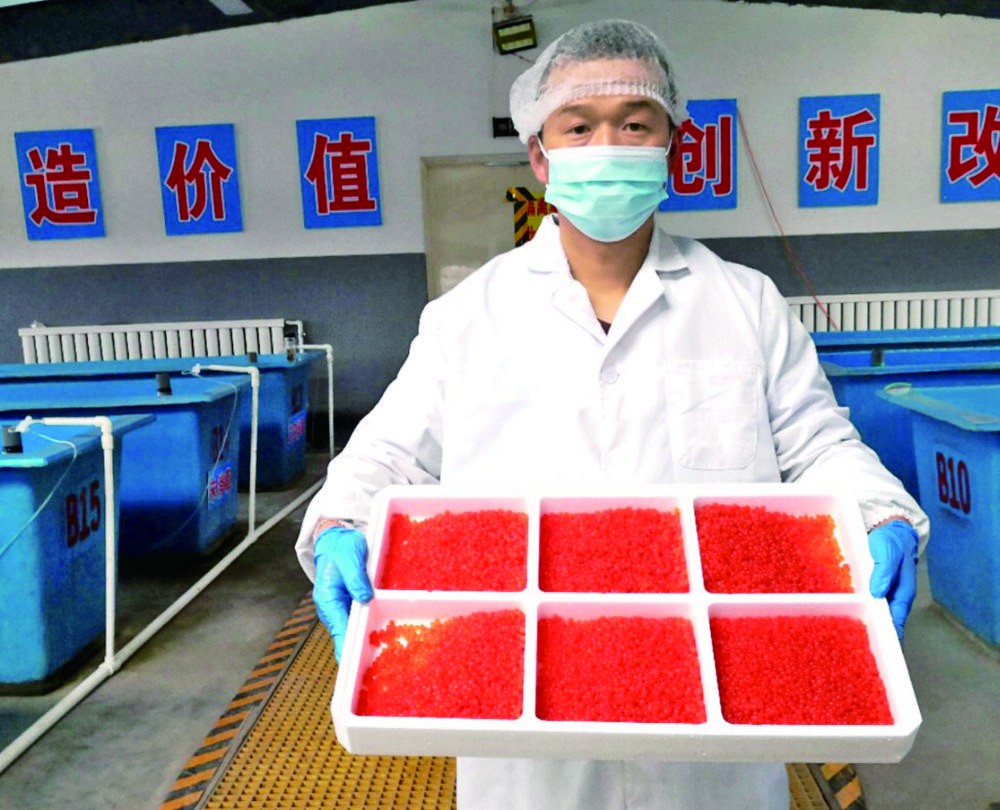 ������� ���l������ˮ�~�~�繩�� �TԴ����������������