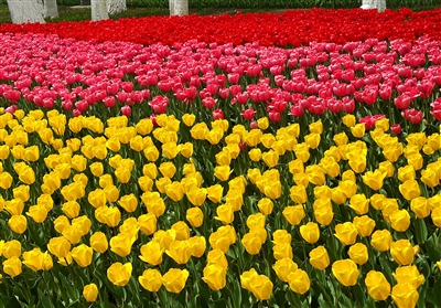 ������`�ţ�����8����Ʒ�N�c��Ҋ��