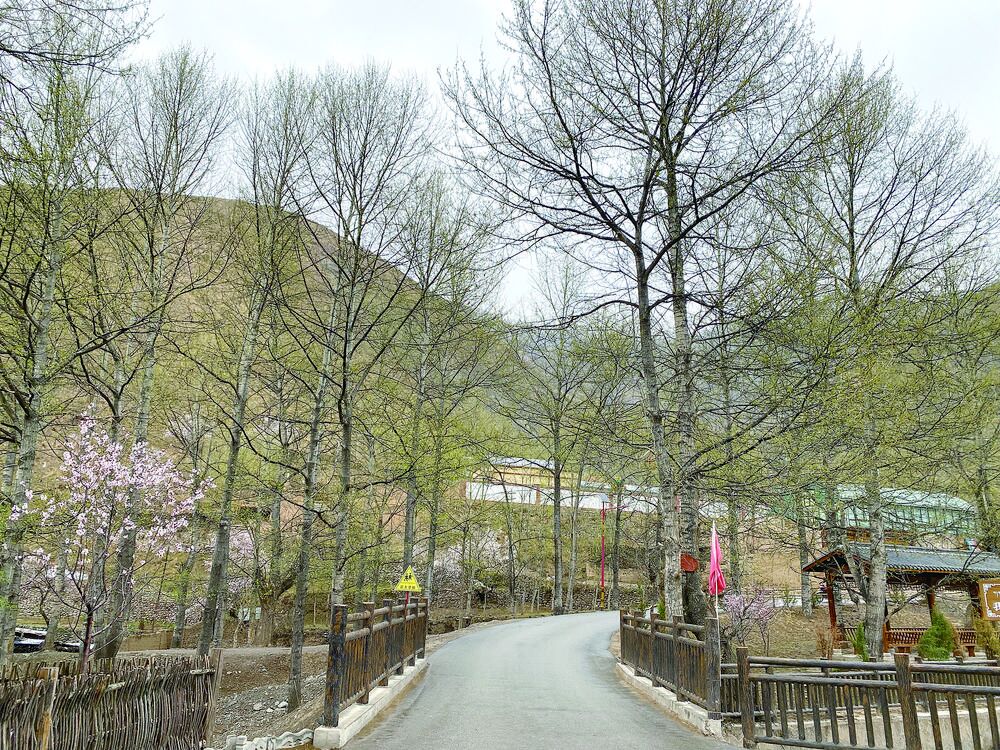 QQ�DƬ20240424054536