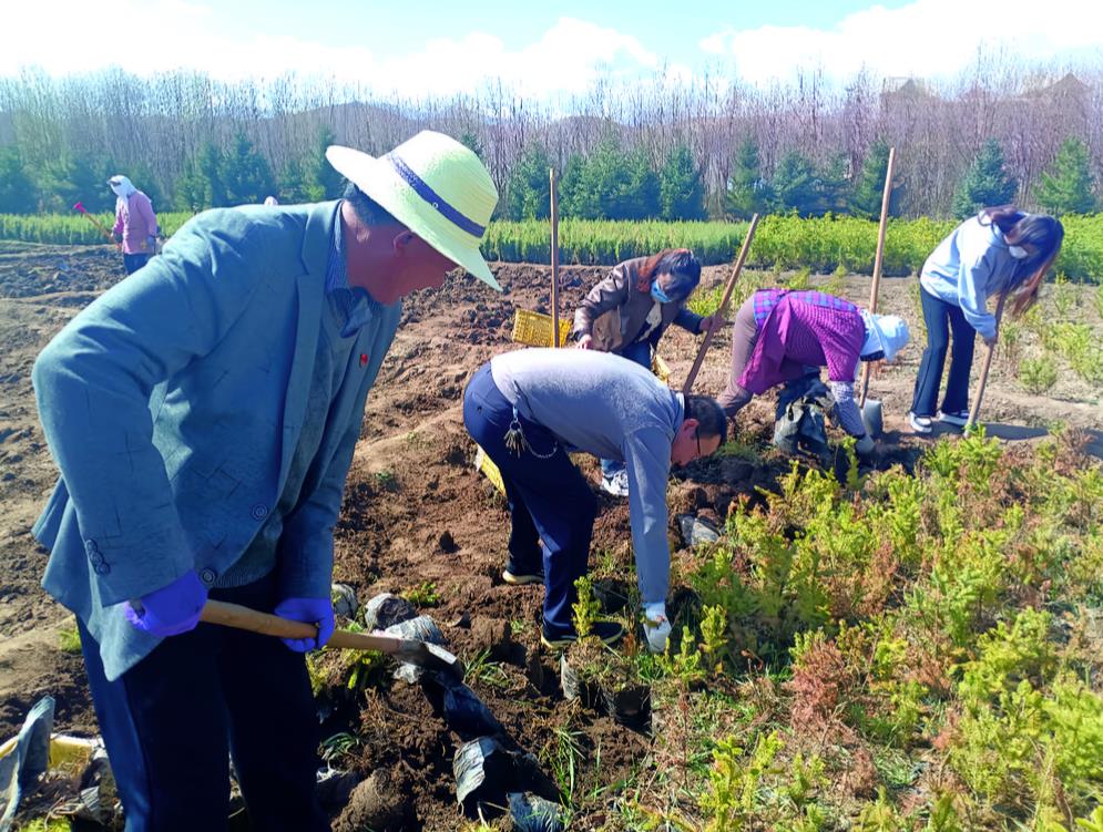 【綠化國土 美化家園】大通:2024年國土綠化春季大會(huì)戰(zhàn)全面啟動(dòng)
