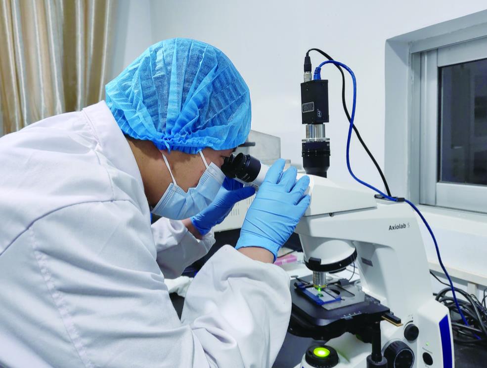 360�؈D20240425064453903